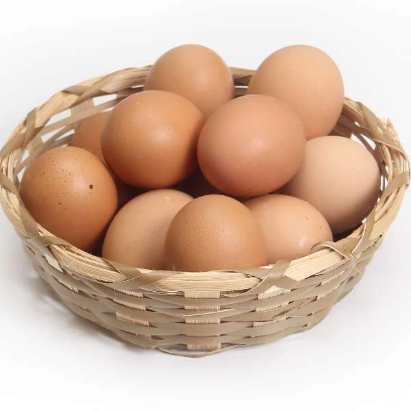 Choosing the Right Egg