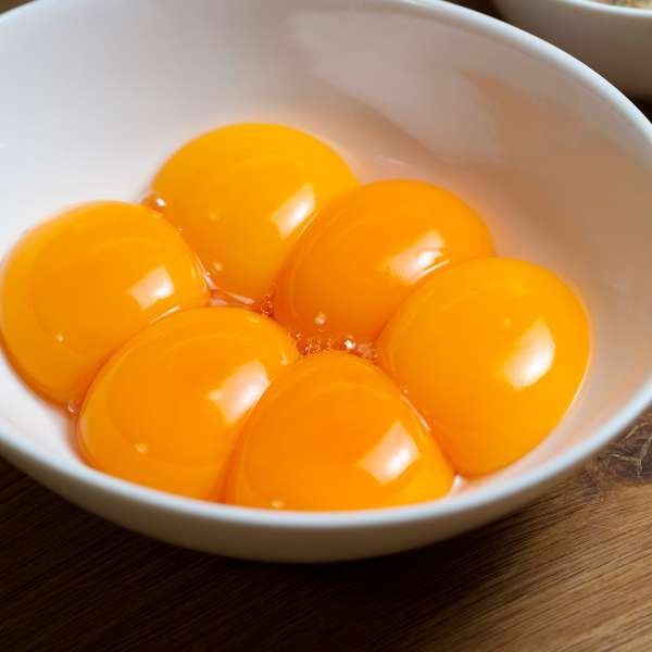 Understanding Egg Anatomy: