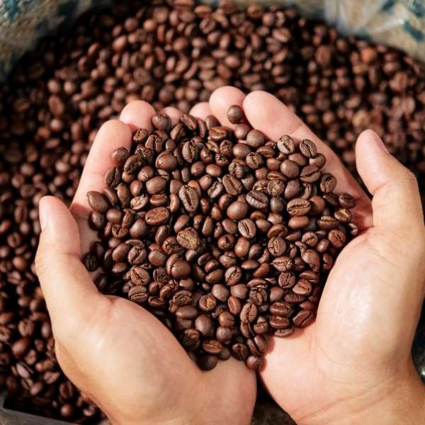 Choosing the Right Coffee Beans