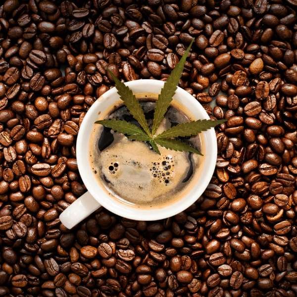 What Is Weed Coffee? 