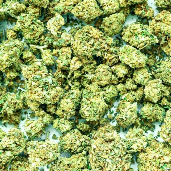 Common Mistakes Beginners Make with Weed Coffee