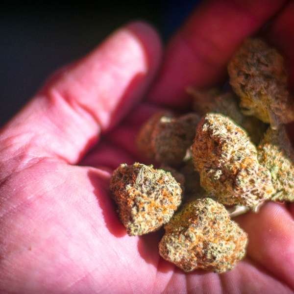 Flavoring Your Weed Coffee: Ideas for Customizing Your Brew