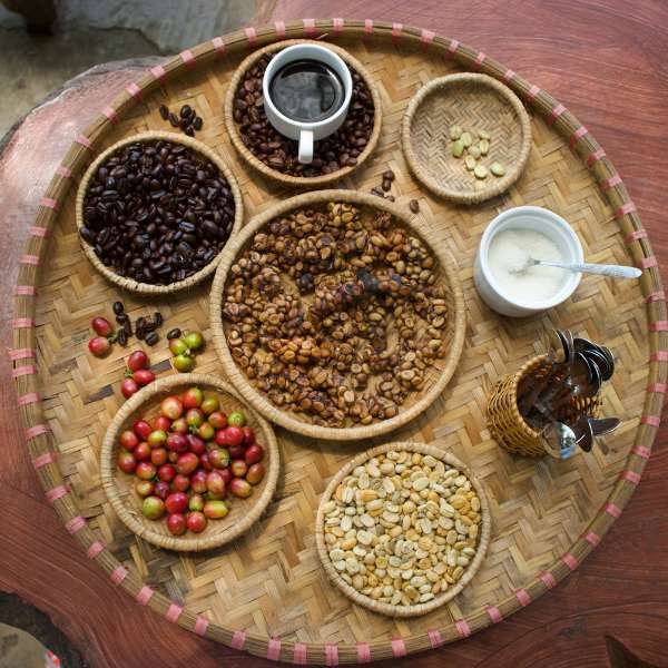 Choosing the Best Brewing Method