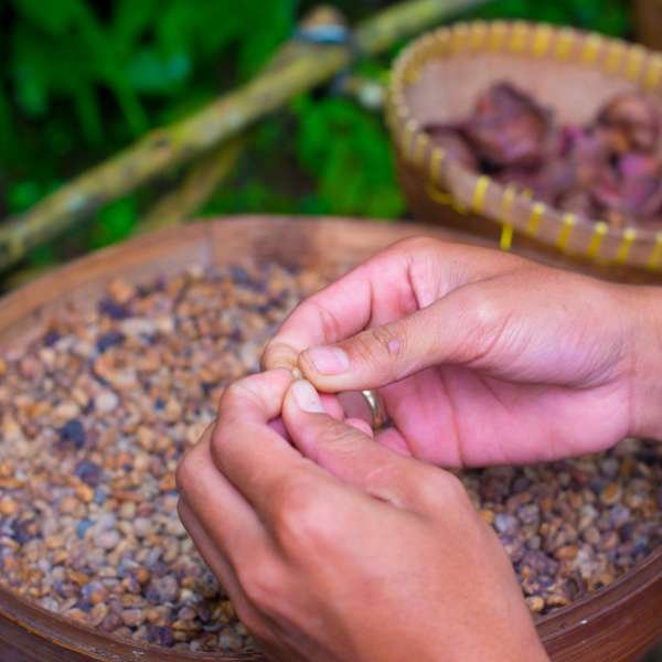 How to Brew Kopi Luwak Coffee Using a Pour Over Technique