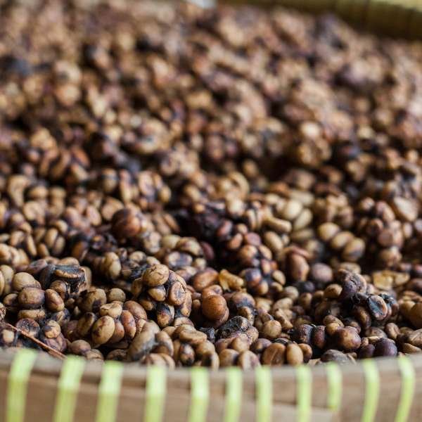Coffee Beans to Keep Freshness