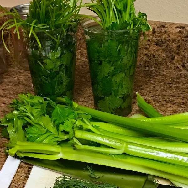 Gathering the Ingredients