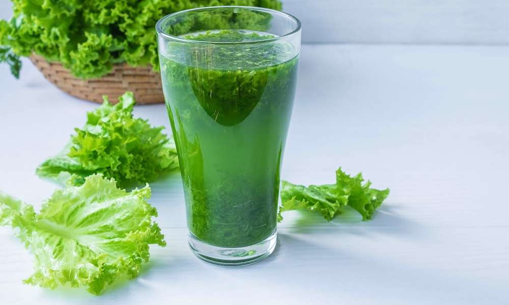 make celery juice without a juicer
