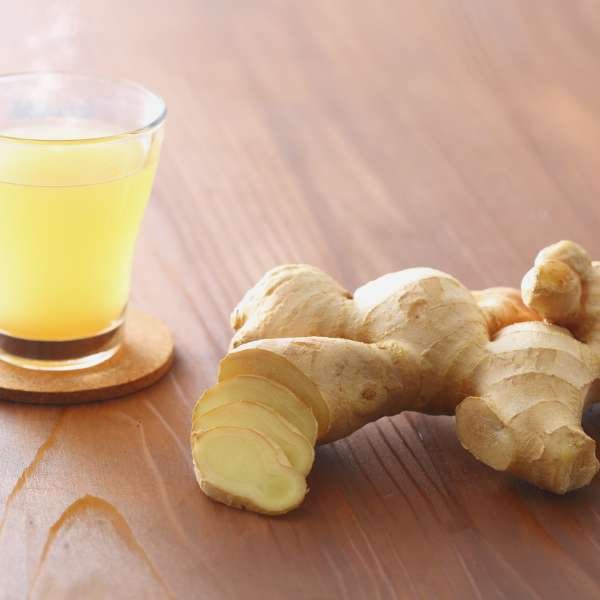 Juicer vs. Blender
