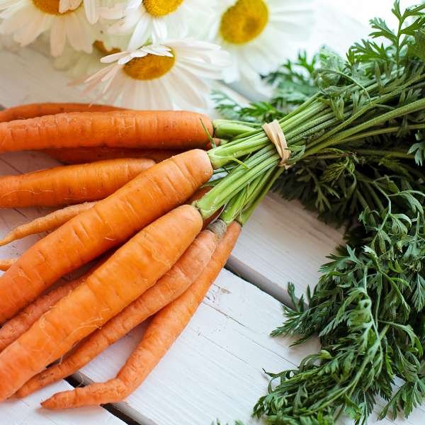 Choosing the Right Carrots