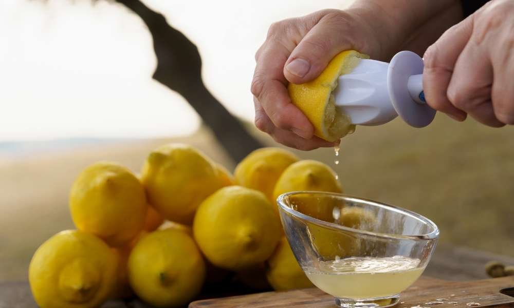 how to squeeze a lemon without a juicer